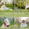 Spring Meadow - foto overlays