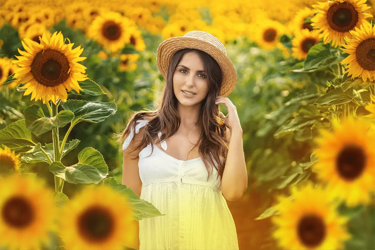 slunecnice foto overlays