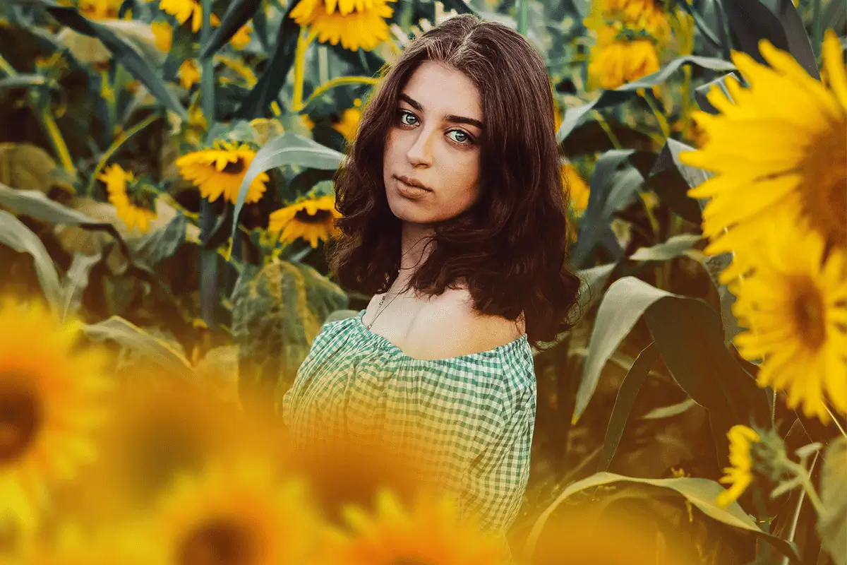 slunecnice foto overlays