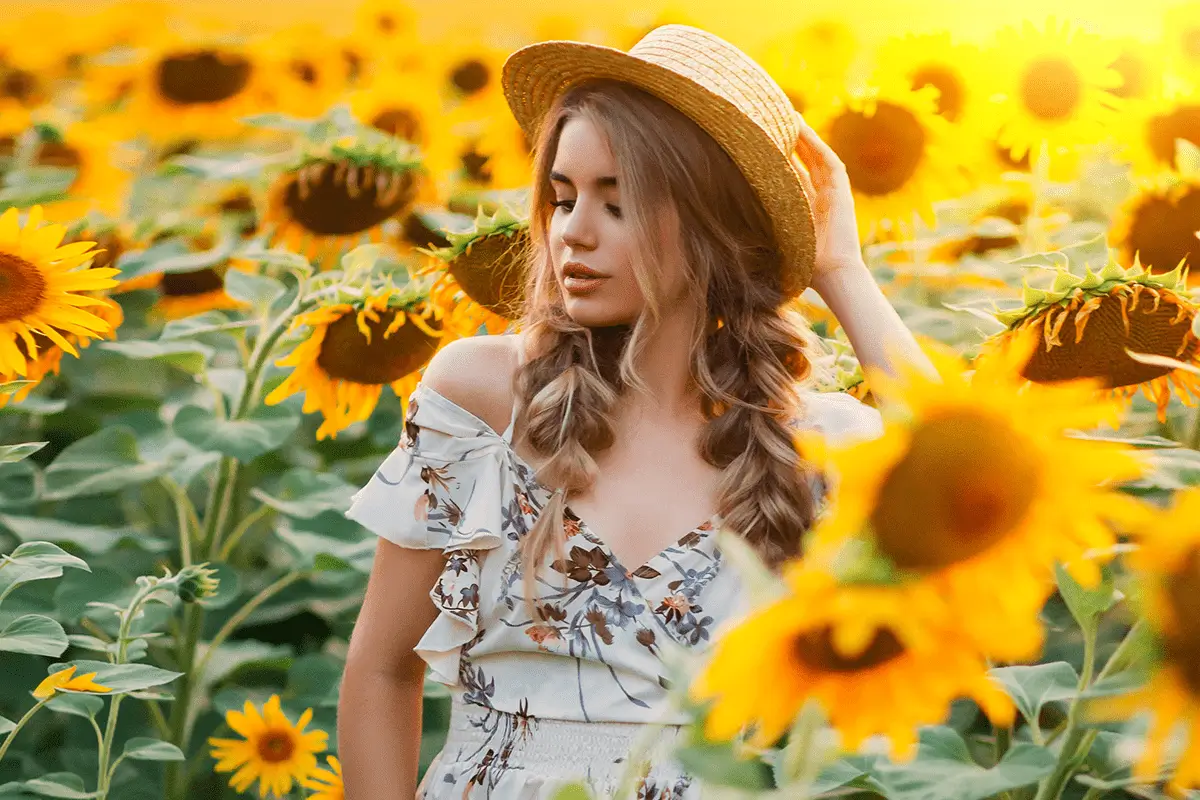 slunecnice foto overlays