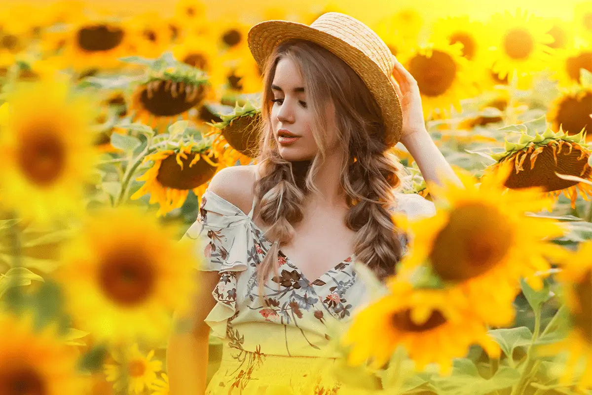 slunecnice foto overlays