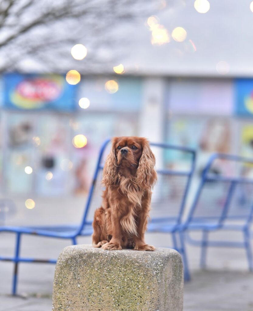 Image #1 from Zuzana P.