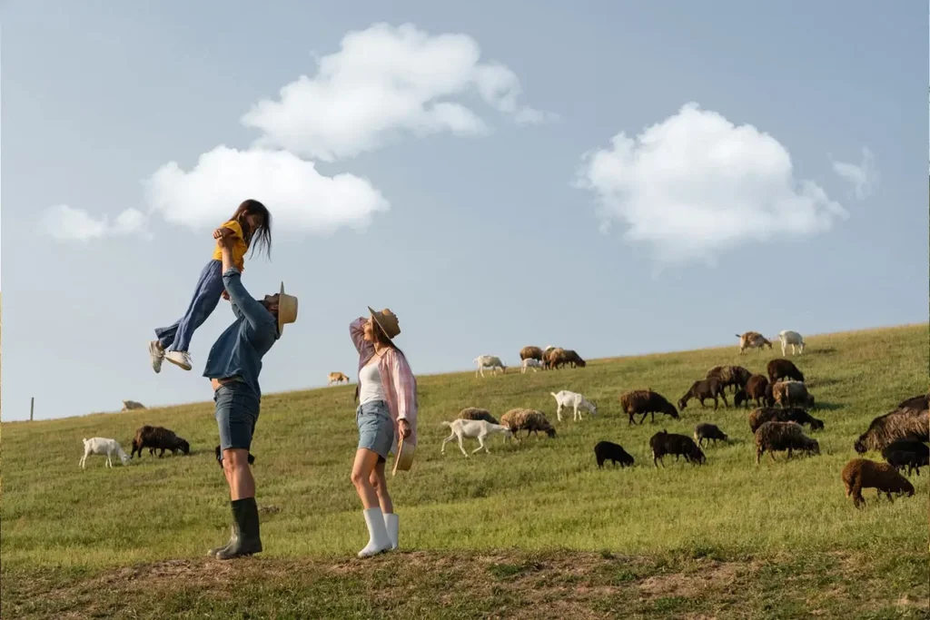 Summer Clouds foto overlays - mraky